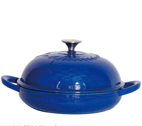 Non-stick coating casting iron pot