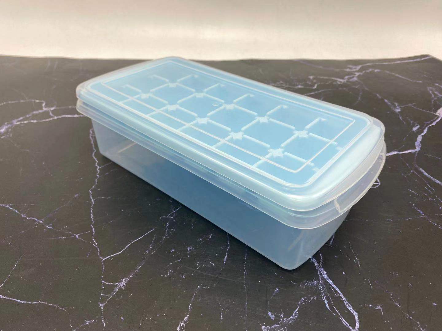 Ice mold