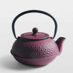 Casting iron tea pot